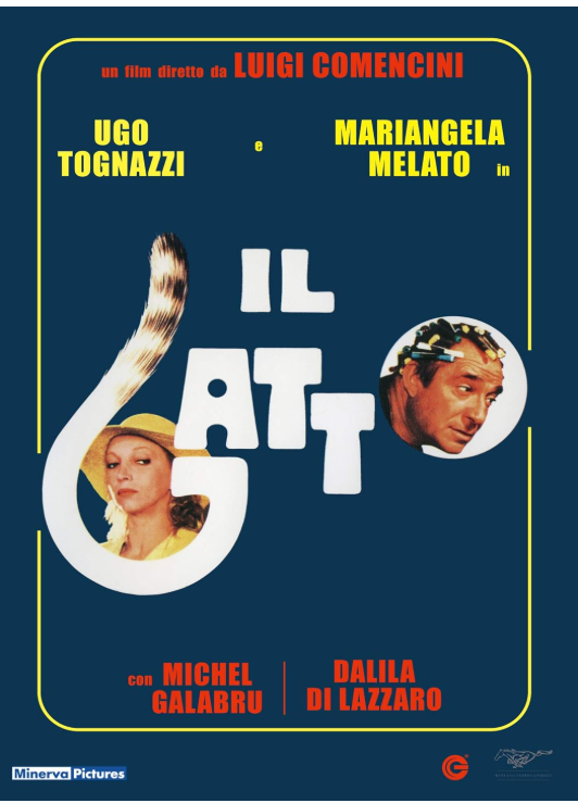Il Gatto