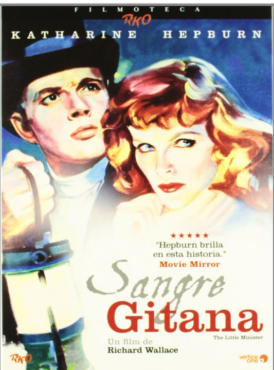 Sangre Gitana - Libreto Incluído